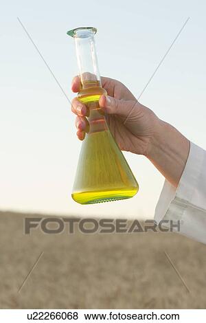 Stock Photo - Woman holding flask and clipboard in field of grain, Manitoba, Canada. Fotosearch