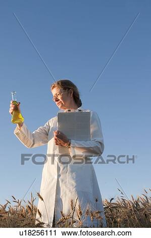 Stock Image - Woman in field of wheat holds clipboard and flask, Manitoba, Canada. Fotosearch