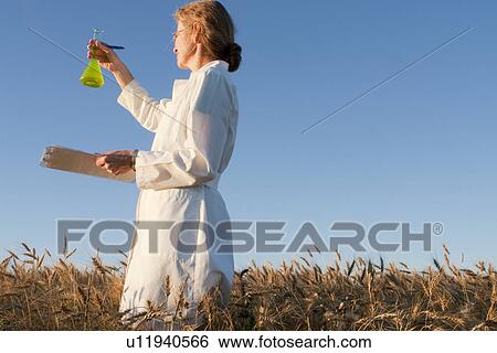Stock Photograph - Woman in field of wheat holds clipboard and flask, Manitoba, Canada. Fotosearch