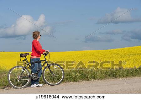 Woman in mid-50's with bike on rural road beside blooming field of canola, Manitoba, Canada View Large Photo Image Picture - Woman in mid-50's with bike on rural road beside blooming field of canola, Manitoba, Canada. Fotosearch