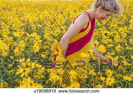 Woman walking in field of yellow flowers, Manitoba, Canada View Large Photo Image Stock Photo - Woman walking in field of yellow flowers, Manitoba, Canada. Fotosearch