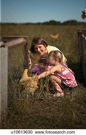 Woman with 5 year old and two year old girls beside heritage breed of free range chicken; Redvers, Saskatchewan, Canada View Large Photo Image Stock Image - Woman with 5 year old and two year old girls beside heritage breed of free range chicken; Redvers, Saskatchewan, Canada. Fotosearch