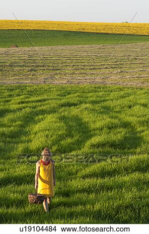 Woman with basket in field of grass, canola field in distance, Manitoba, Canada View Large Photo Image Picture - Woman with basket in field of grass, canola field in distance, Manitoba, Canada. Fotosearch