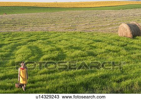 Stock Image - Woman with basket in field of grass, canola field in distance, Manitoba, Canada. Fotosearch