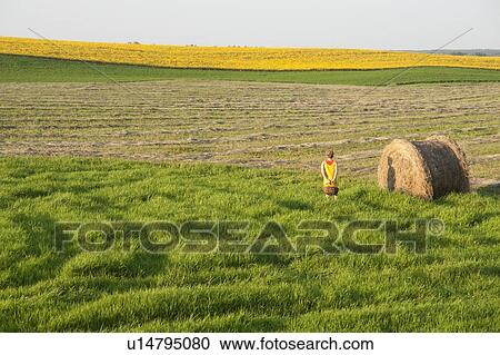 Woman with basket in field of grass, canola field in distance, Manitoba, Canada View Large Photo Image Stock Image - Woman with basket in field of grass, canola field in distance, Manitoba, Canada. Fotosearch