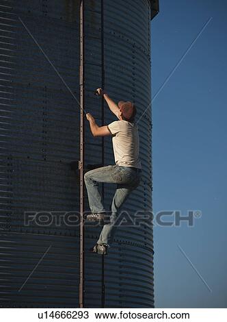 Stock Image - Young farmer climbs ladder on grain bin, Redvers, Saskatchewan, Canada. Fotosearch