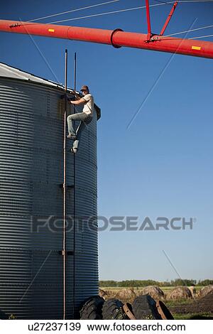 Stock Photo - Young farmer climbs ladder on grain bin, Redvers, Saskatchewan, Canada. Fotosearch