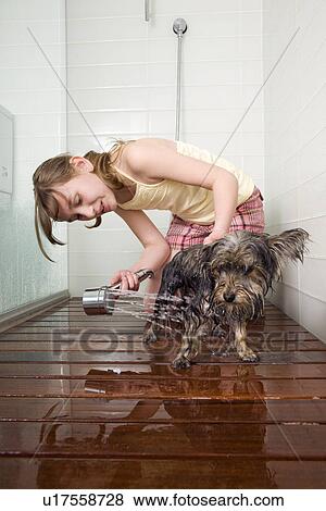 Young girl washing small dog in shower View Large Photo Image Stock Photo - Young girl washing small dog in shower. Fotosearch