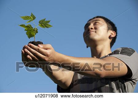 Stock Photo - Young man holding seedling with outstretched arms, Assiniboine Park, Winnipeg, Canada. Fotosearch