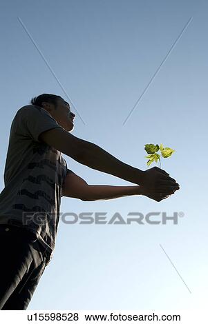 Young man holding seedling with outstretched arms, Assiniboine Park, Winnipeg, Canada View Large Photo Image Stock Photo - Young man holding seedling with outstretched arms, Assiniboine Park, Winnipeg, Canada. Fotosearch