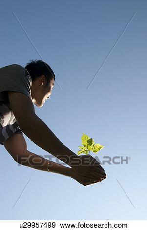 Stock Photo - Young man holds seedling, Assiniboine Park, Winnipeg, Canada. Fotosearch