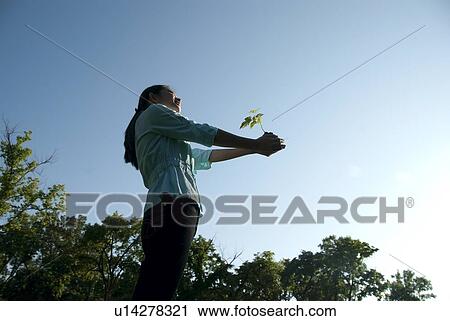 Young woman with outstretched arms holding seedling in Assiniboine Park, Winnipeg, Canada View Large Photo Image Stock Image - Young woman with outstretched arms holding seedling in Assiniboine Park, Winnipeg, Canada. Fotosearch