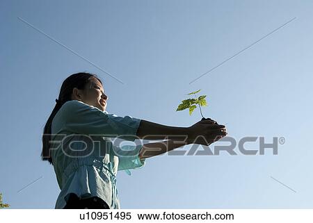 Stock Photography - Young woman with outstretched arms holding seedling. Fotosearch