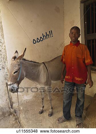 Stock Photo - Boy with Donkey in Lamu Town, Africa. Fotosearch