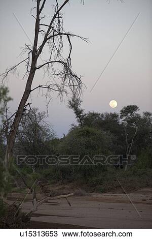 Stock Image - Full moon over Kenya. Fotosearch