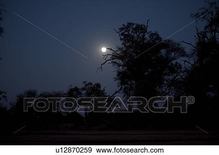 Full moon over Kenya View Large Photo Image Stock Photo - Full moon over Kenya. Fotosearch