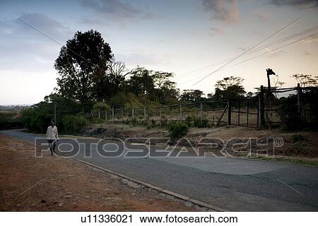 Giraffe Manor grounds in Kenya View Large Photo Image Stock Image - Giraffe Manor grounds in Kenya. Fotosearch