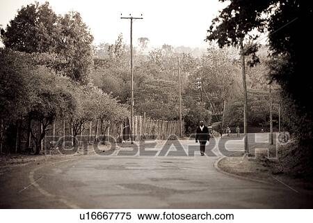Giraffe Manor grounds in Kenya View Large Photo Image Stock Photography - Giraffe Manor grounds in Kenya. Fotosearch
