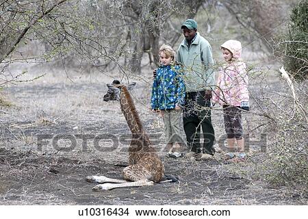 Picture - Girls with tour guide and giraffe. Fotosearch