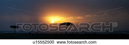Stock Image - Kenya landscape at sunset. Fotosearch