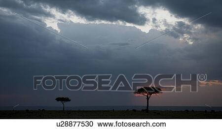 Stock Image - Kenya landscape at sunset. Fotosearch