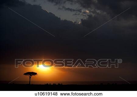 Kenya landscape at sunset View Large Photo Image Stock Photo - Kenya landscape at sunset. Fotosearch