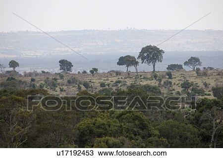 Kenya landscape View Large Photo Image Stock Image - Kenya landscape. Fotosearch