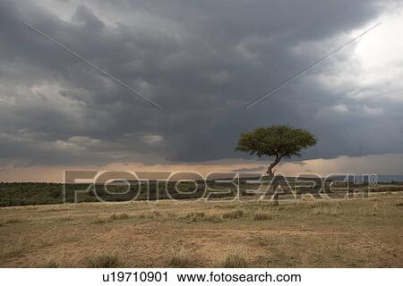 Kenya landscape View Large Photo Image Stock Image - Kenya landscape. Fotosearch