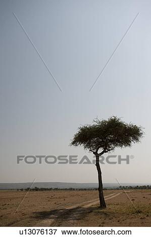 Stock Photo - Kenya landscape. Fotosearch