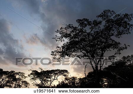 Stock Image - Kenya sky at sunrise. Fotosearch