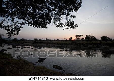 Kenya sky at sunset View Large Photo Image Stock Image - Kenya sky at sunset. Fotosearch