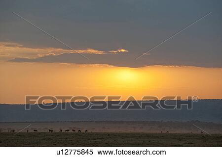 Stock Photography - Kenya sky at sunset. Fotosearch
