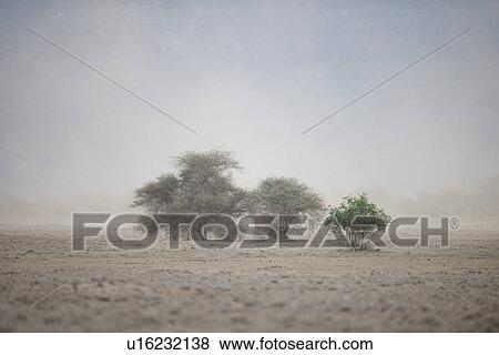Stock Photo - Kenyan landscape. Fotosearch