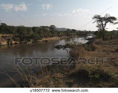 Pond in Kenya Africa View Large Photo Image Stock Image - Pond in Kenya Africa. Fotosearch
