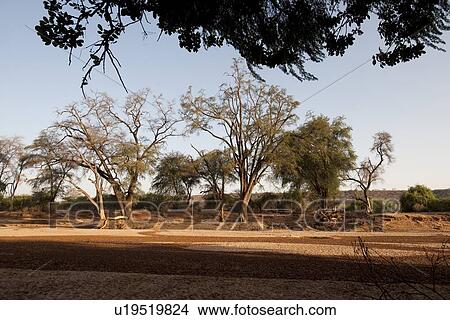 Picture - Samburu National Reserve in Kenya. Fotosearch