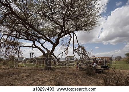 Stock Image - Samburu National Reserve in Kenya. Fotosearch