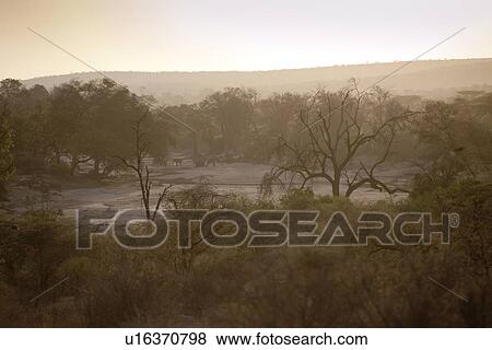 Samburu National Reserve in Kenya View Large Photo Image Stock Photo - Samburu National Reserve in Kenya. Fotosearch