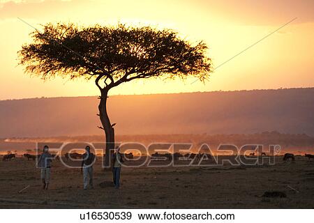 Stock Photo - Sillouette of people against sunset sky in Kenya. Fotosearch