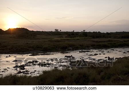 Sunset over river in Kenya View Large Photo Image Stock Image - Sunset over river in Kenya. Fotosearch