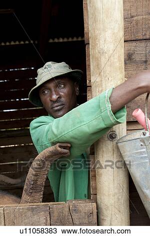 Worker at Kenya Wildlife Project View Large Photo Image Stock Image - Worker at Kenya Wildlife Project. Fotosearch