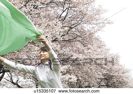 Businesswoman laying down a picnic blanket View Large Photo Image Stock Photo - Businesswoman laying down a picnic blanket. Fotosearch
