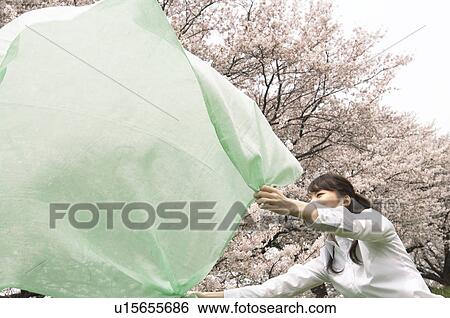 Stock Photograph - Businesswoman laying down a picnic blanket. Fotosearch