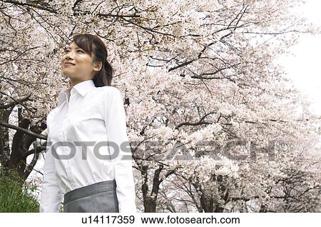 Stock Photo - Businesswoman looking into the distance. Fotosearch