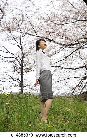 Stock Photo - Businesswoman standing underneath cherry trees. Fotosearch
