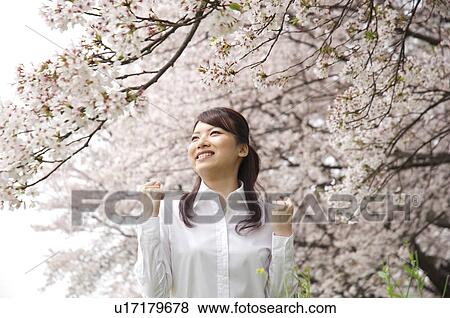 Stock Photo - Businesswoman standing underneath cherry trees. Fotosearch