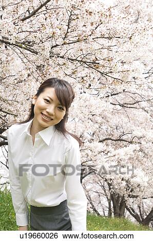 Businesswoman standing underneath cherry trees View Large Photo Image Stock Photograph - Businesswoman standing underneath cherry trees. Fotosearch