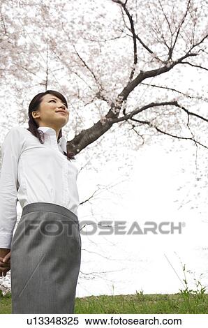 Businesswoman standing underneath cherry trees View Large Photo Image Stock Photography - Businesswoman standing underneath cherry trees. Fotosearch