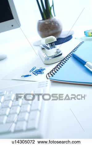 Desk with potted plant, notebook and stapler View Large Photo Image Stock Image - Desk with potted plant, notebook and stapler. Fotosearch