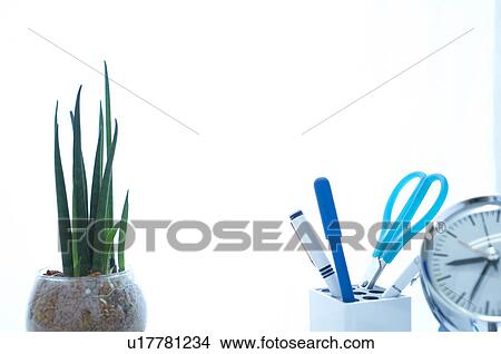 Desk with potted plant, scissors, pen and clock View Large Photo Image Picture - Desk with potted plant, scissors, pen and clock. Fotosearch