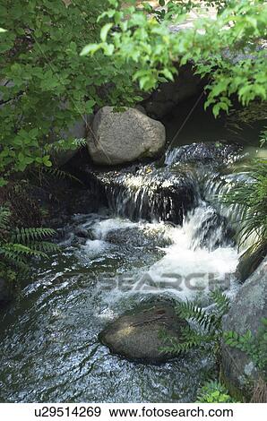 Flowing stream with rocks View Large Photo Image Stock Photo - Flowing stream with rocks. Fotosearch